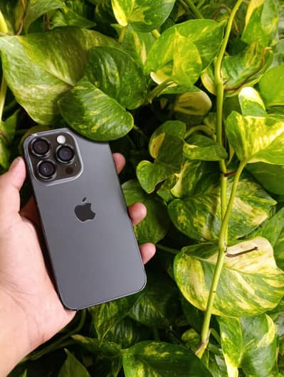 Apple iPhone 14 Pro