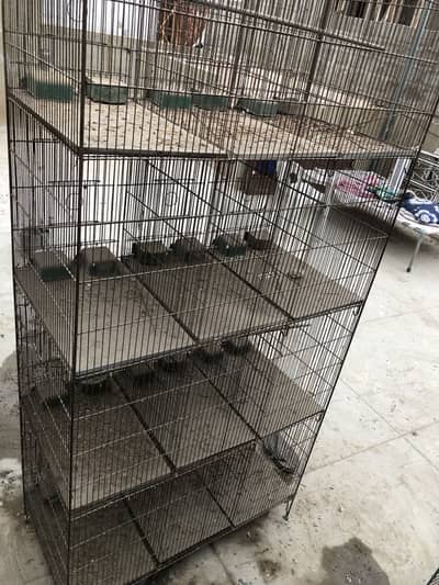 LoveBirds  & cages