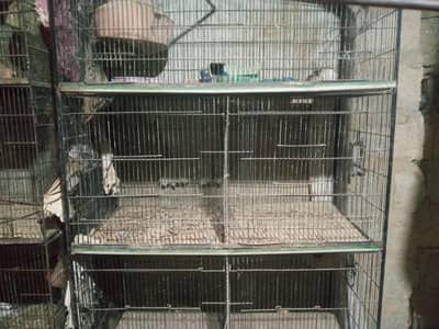 Bird cage