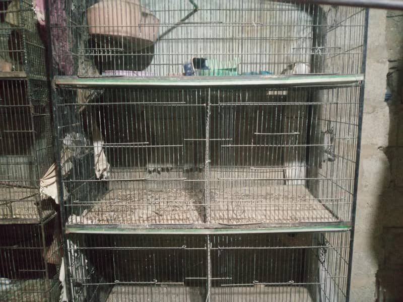 Bird cage 0
