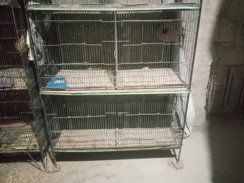 Bird cage 1