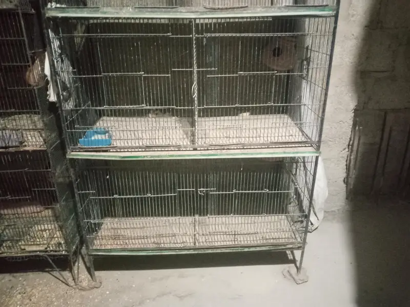 Bird cage — photo 2