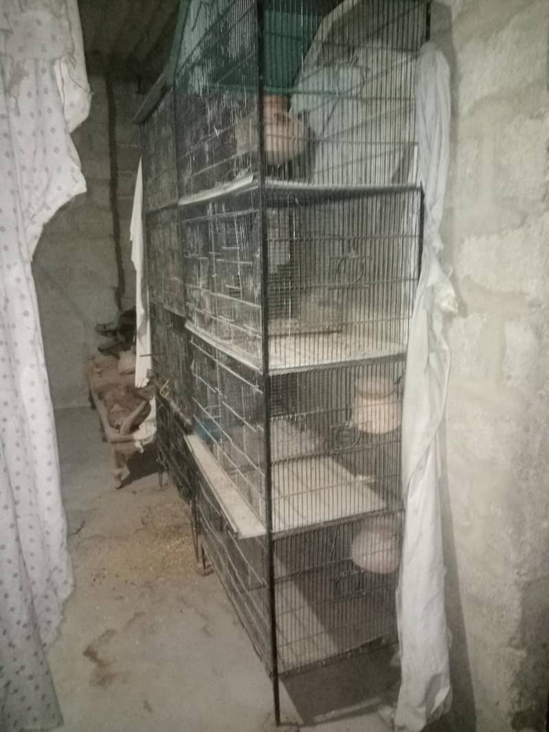 Bird cage 2