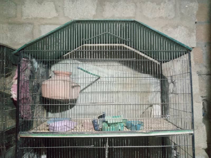 Bird cage 3