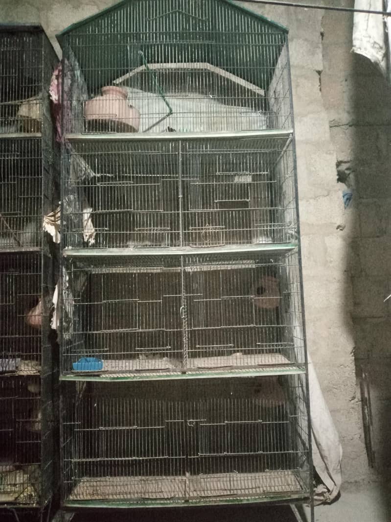 Bird cage 4