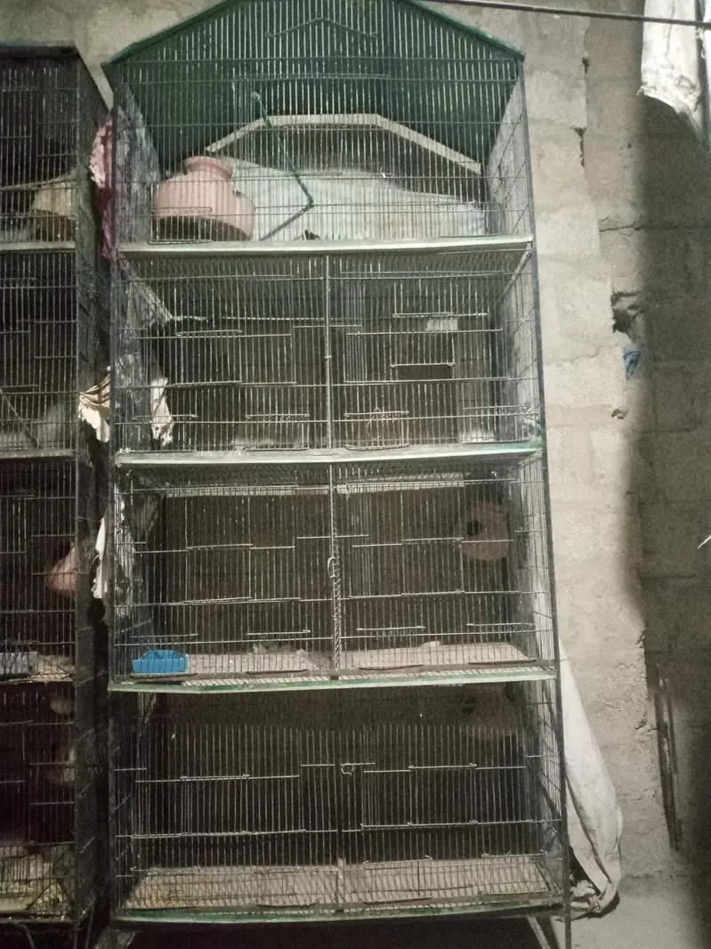 Bird cage — photo 5