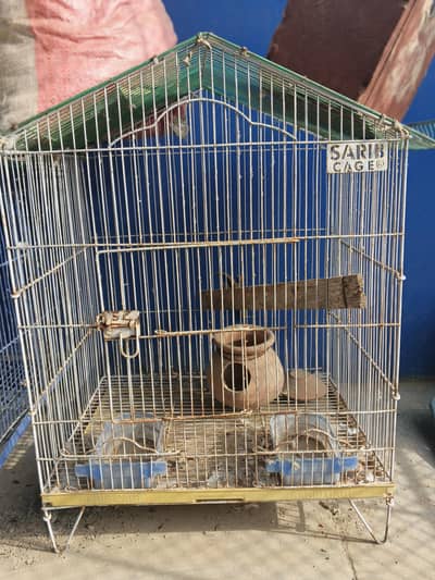 Birds cage