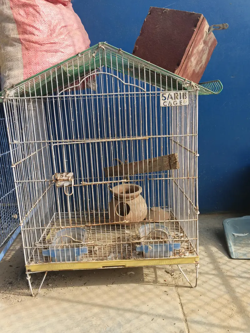 Birds cage — photo 2