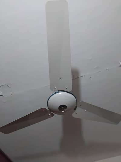 Fans for sale