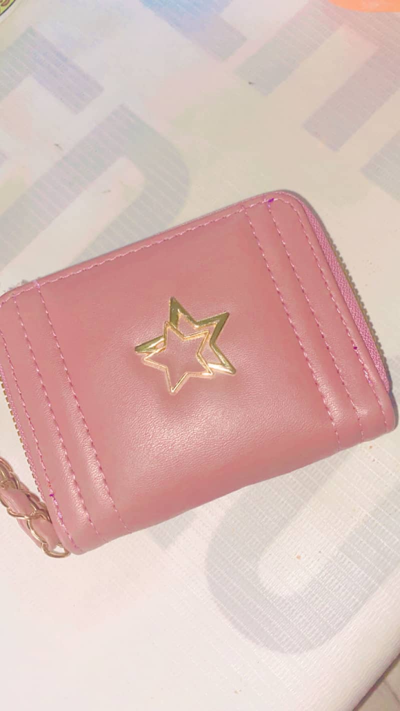Wallet bag 1