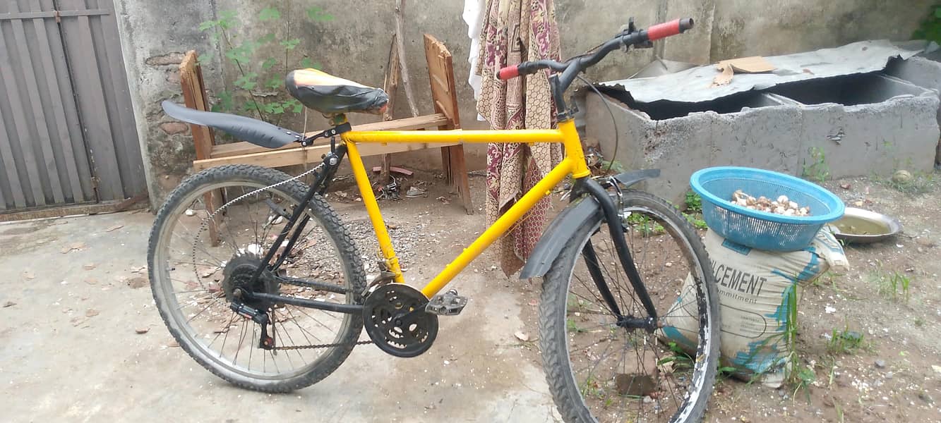 phoenix cycle 0