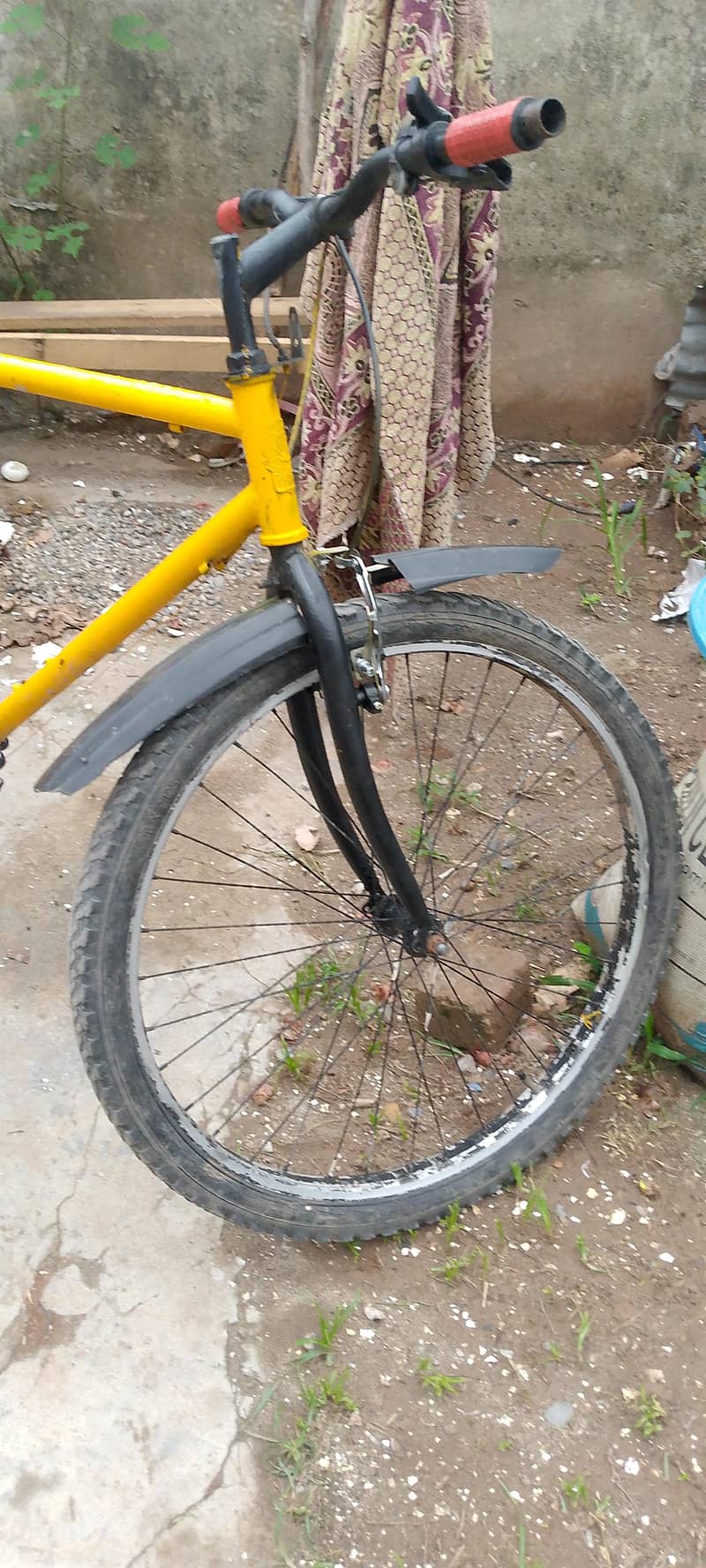 phoenix cycle 2