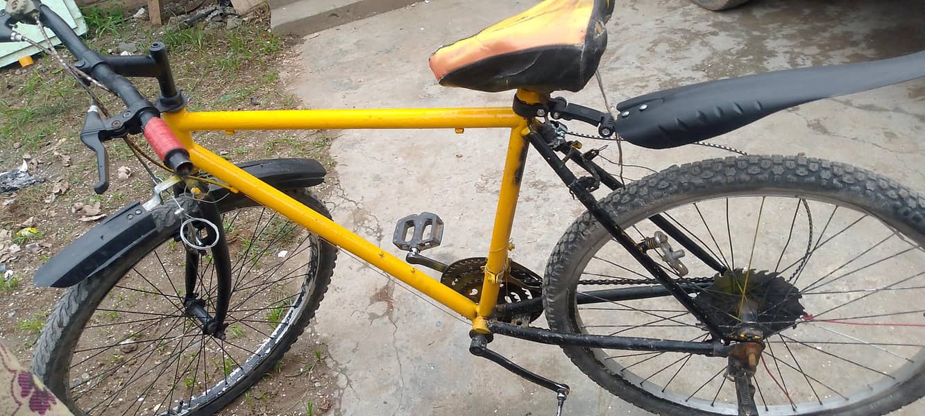 phoenix cycle 3