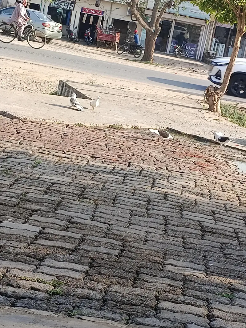 santiii — photo 5