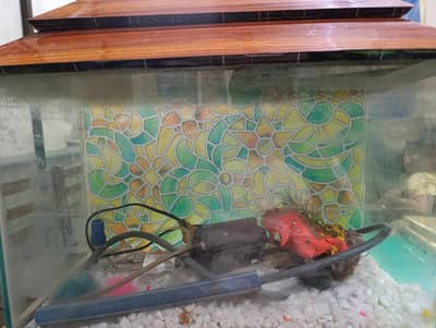 Aquarium for sale