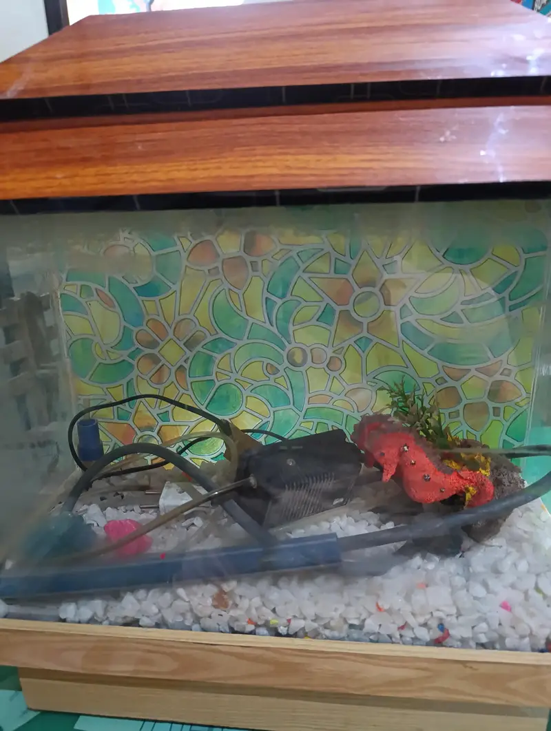 Aquarium for sale — photo 2