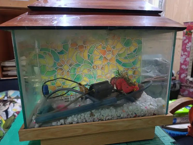 Aquarium for sale — photo 3