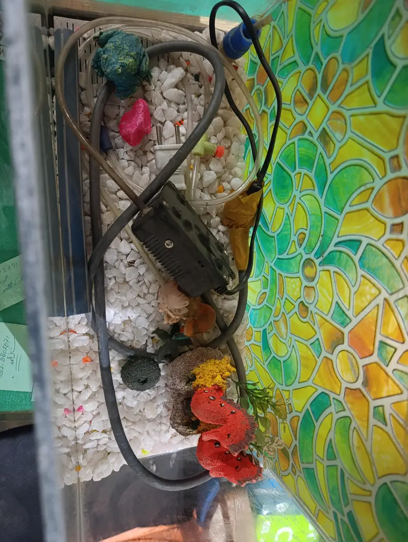Aquarium for sale — photo 4