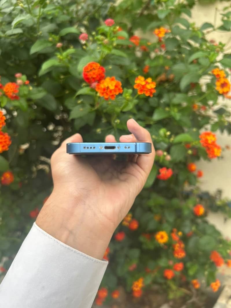 Apple iPhone 13 mini 1
