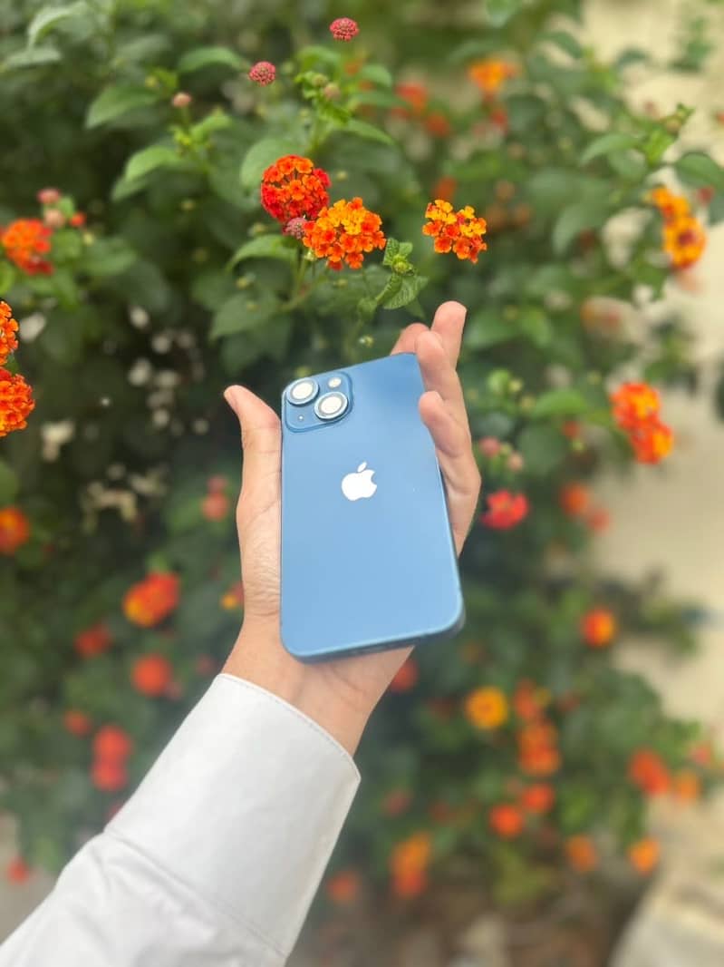 Apple iPhone 13 mini 2