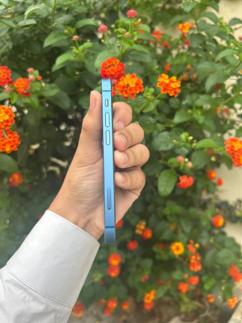 Apple iPhone 13 mini 6