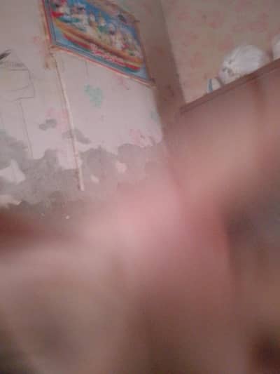 waqarfs768@gmail. com