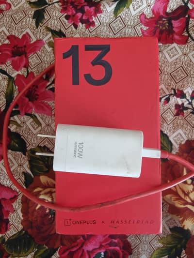 OnePlus 13