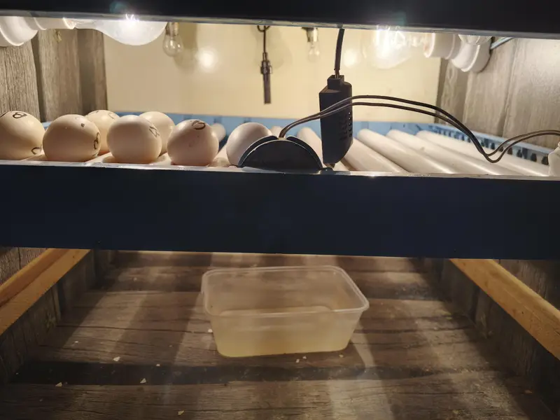 100 Eggs Incubator Full Auto AC/DC/Solar — photo 2