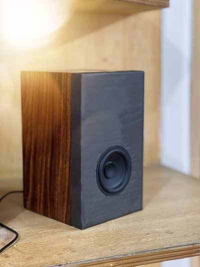 sonos Raff high quality 2.1 bookshelf woofers