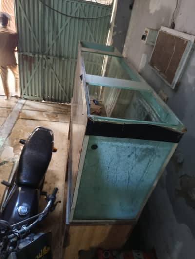 fish aquarium 6 feet