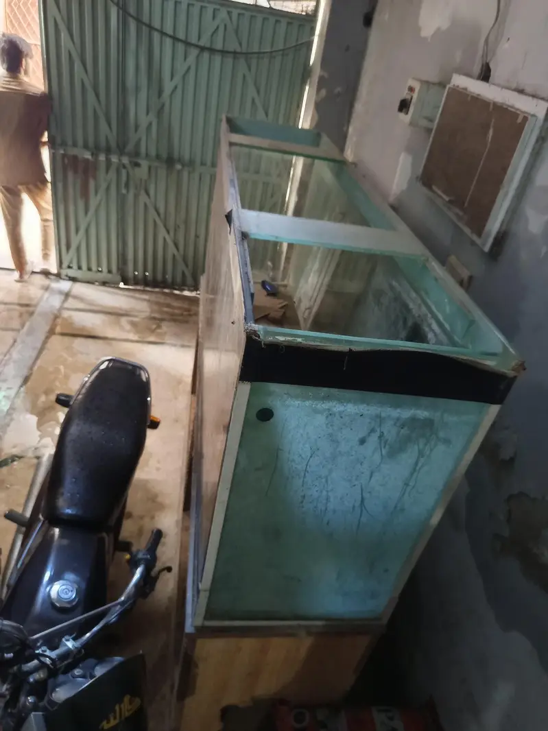 fish aquarium 6 feet