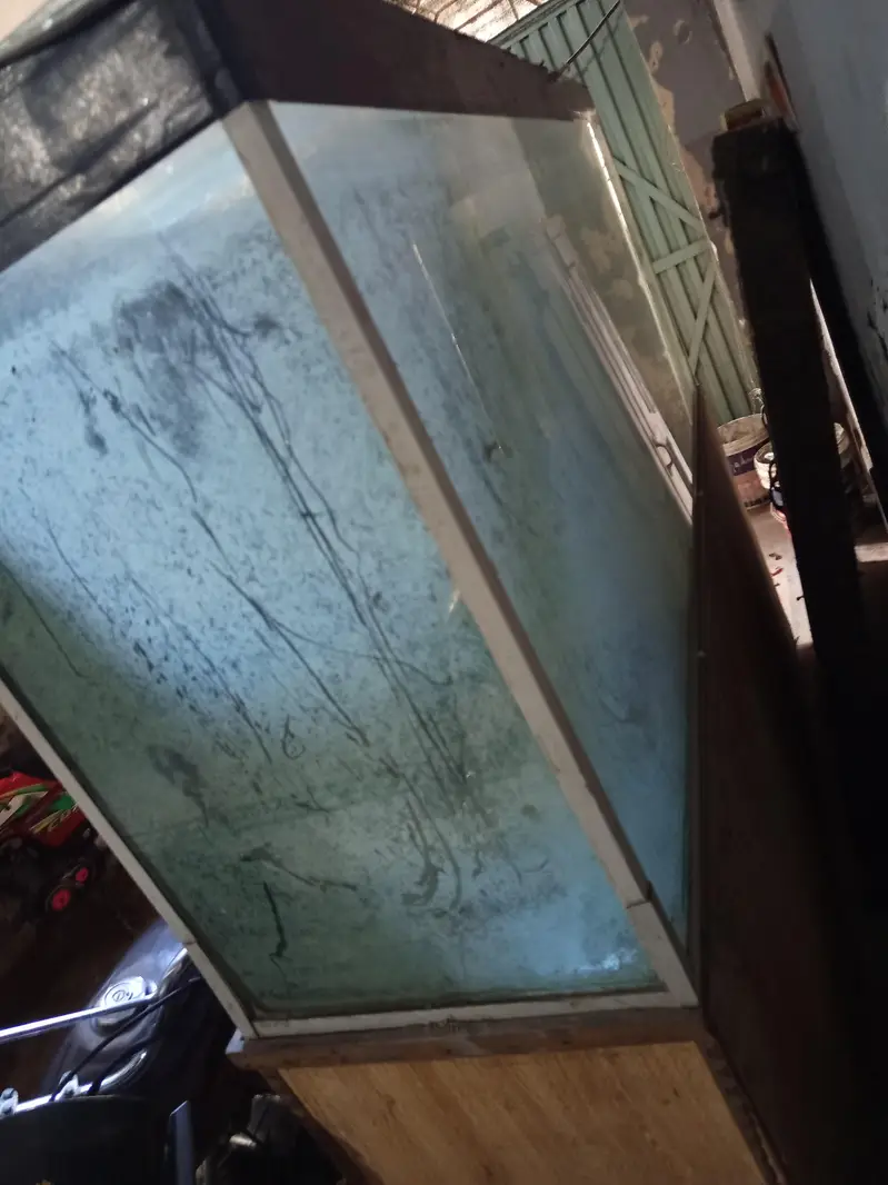 fish aquarium 6 feet — photo 2
