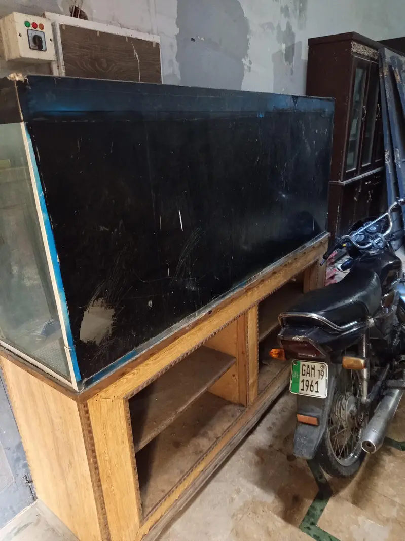 fish aquarium 6 feet — photo 4