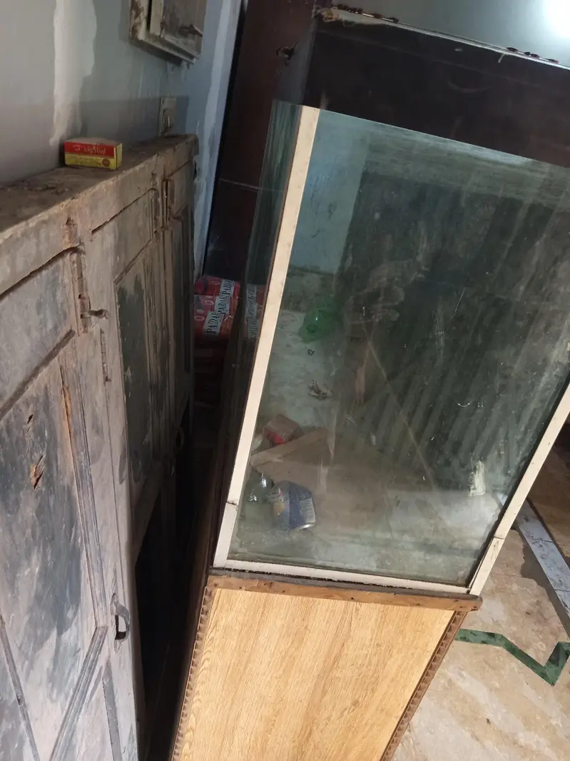fish aquarium 6 feet — photo 5