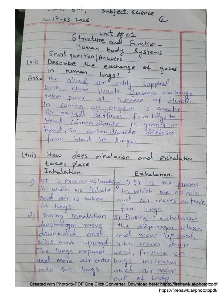 Assignment writing 1