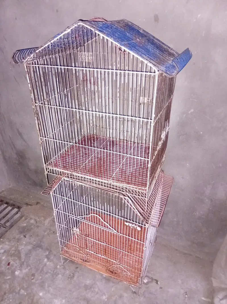 2 Cage + australian bridar pair +love birds parrot Cage — photo 3