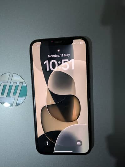 Apple iPhone X (256 gb)