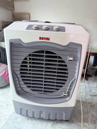 Royal Noble Plus Air Cooler – Excellent Condition