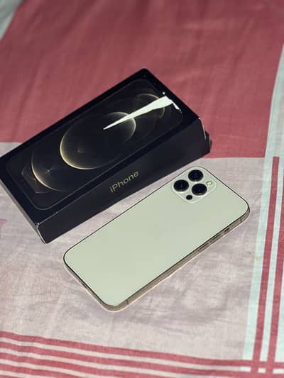 Apple iPhone 12 Pro Max