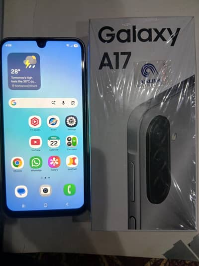 Samsung A17 8/256GB Official