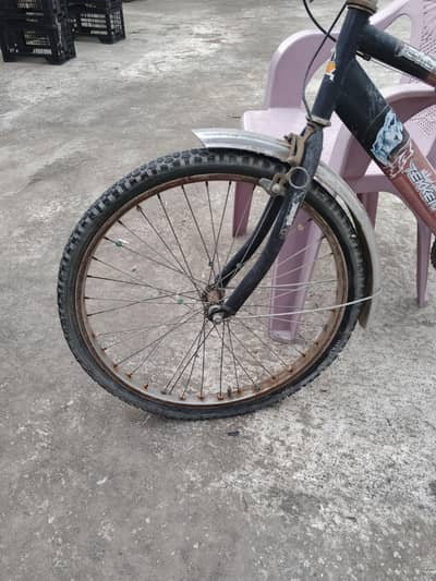 bicycle Tekken