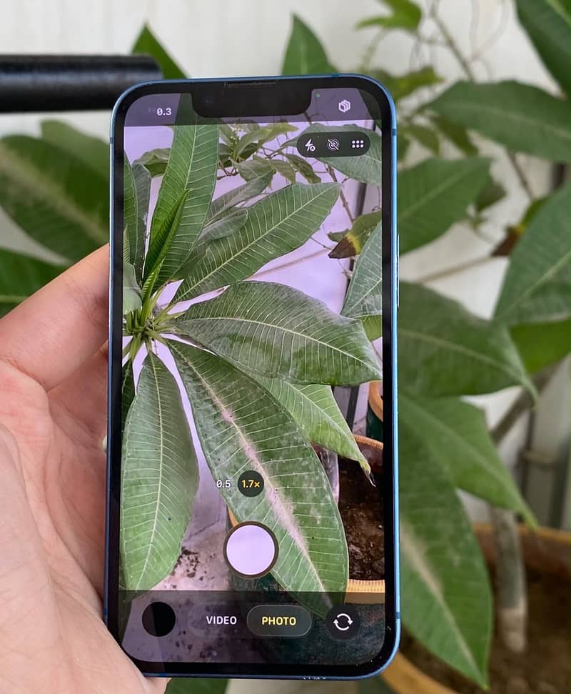 IPHONE 13 MINI 1