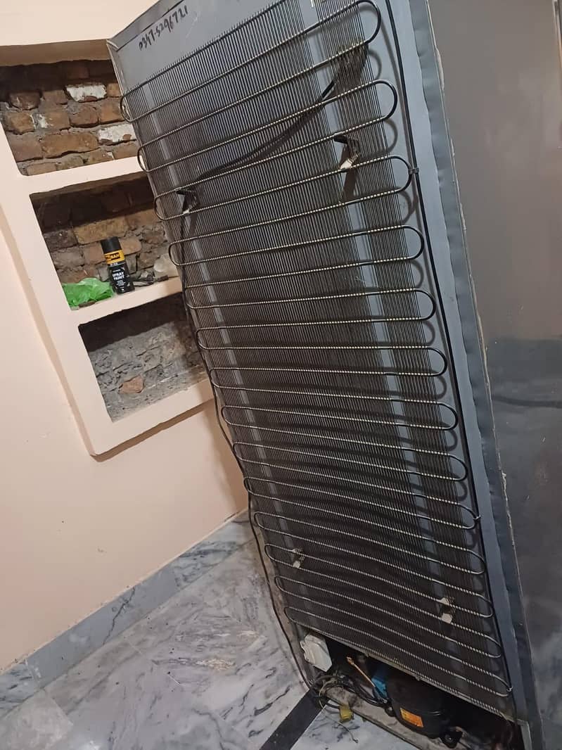 fridge 6