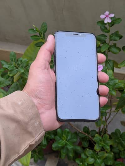 Apple iPhone X