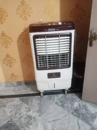 larg size cooler
