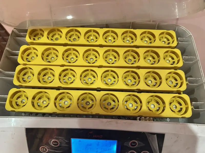 Incubators/Hatching Machines for sale — photo 2