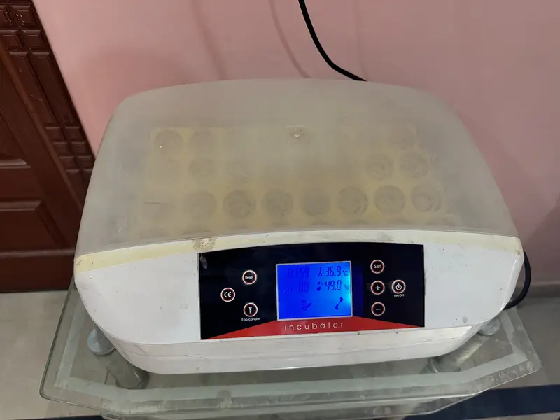 Incubators/Hatching Machines for sale — photo 3