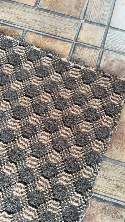 brown carpet (used for 6 months)