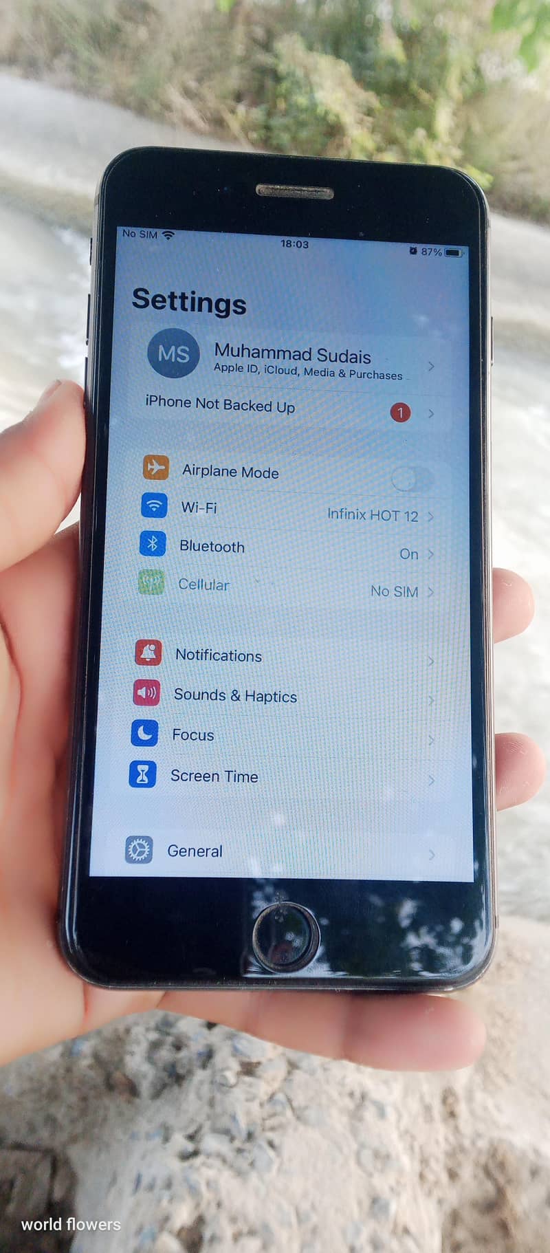 Apple iPhone 8 Plus 3