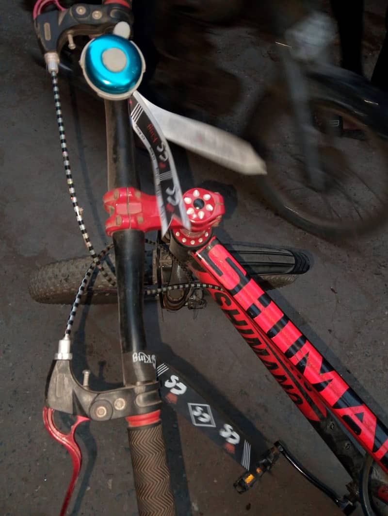 biycle 1